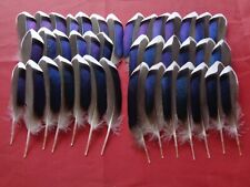 bronze mallard feathers for sale  ALFORD