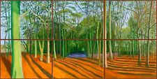 David hockney woldgate for sale  BIRMINGHAM