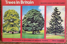 Brook bond trees for sale  SALISBURY