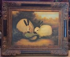 Himalayan rabbits rolence for sale  Bloomington