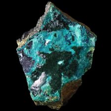 Atacamite lily 7 d'occasion  France