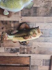 Largemouth bass taxidermy for sale  New Douglas