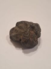 Meteorit eisenmeteorit sternsc gebraucht kaufen  Mühldorf a.Inn