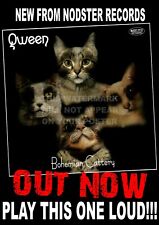Bohemian cattery queen for sale  LANCING
