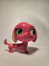 Lps littlest pet for sale  Knoxville