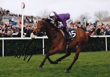 Horse racing david for sale  WALLINGTON