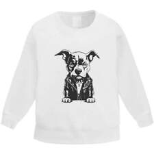 'pitbull' Bluza dziecięca / Sweter / Sweter (KW039554), używany na sprzedaż  Wysyłka do Poland