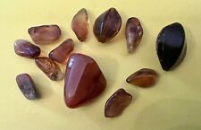 Vintage polished amber for sale  BRECON