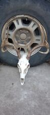 Whitetail deer skull for sale  Walhalla