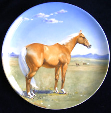 American quarterhorse noble for sale  ST. IVES