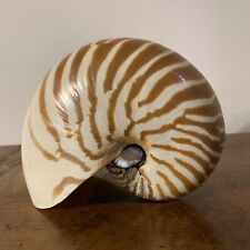 Chambered nautilus seashell. for sale  Monticello