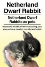 Netherland dwarf rabbit. for sale  Jessup