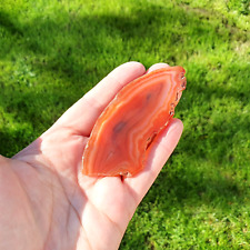 Agate slice red for sale  BRADFORD