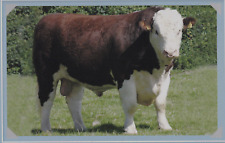 Hereford bull book for sale  COLNE