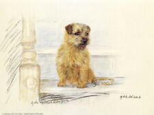 Norfolk terrier print for sale  WARWICK