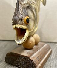 Piranha fish taxidermy for sale  Goodlettsville