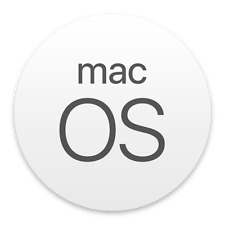 Usb compatibil mac usato  Vietri Sul Mare