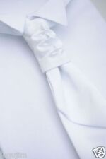 Modische plastron krawatten gebraucht kaufen  Lütjenburg
