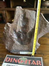 Dinosaur fossil heel for sale  Las Vegas