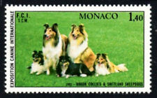 Monaco 1981 animals for sale  STOKE-ON-TRENT