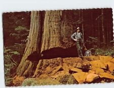 Postcard giant western for sale  Stevens Point