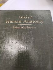 Atlas Human Anatomy Vol 2 1936, Sobotta-McMurich  segunda mano  Embacar hacia Argentina