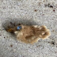 Antique rabbits foot for sale  DERBY