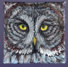 Great grey owl d'occasion  Toulon-