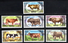 farm animals for sale  Naples