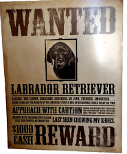 Black labrador retriever for sale  Leander