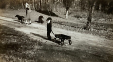 Boy pulling wagon for sale  Foley