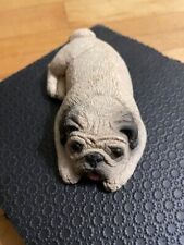 fawn pug for sale  Winchester
