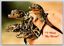 Postcard babies alligator for sale  Anoka