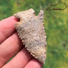 Exceptional pinetree arrowhead for sale  Three Rivers