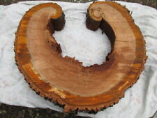 Suporte de mesa de biscoito fatia corte fresco formato crescente madeira cereja selvagem 26x23x4" 12J comprar usado  Enviando para Brazil