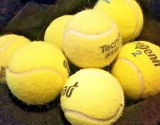 Used tennis balls for sale  Denver