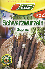 Schwarzwurzeln duplex saatgut gebraucht kaufen  Borstel-Hohenraden