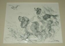 Spaniel dog print for sale  HEREFORD