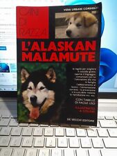 Alaskan malamute cani usato  Campolongo Tapogliano