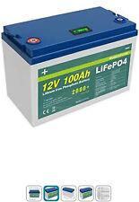 Batteria lifepo4 12v usato  Legnano