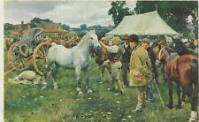 Horse postcard jarrold for sale  ALTON