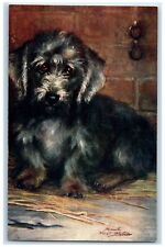 Dandie Dinmont Terrier Dog Maud Puppy Pet Dog Animals Oilette Tuck's Postcard for sale  Shipping to South Africa