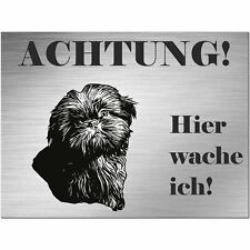 shihtzu gebraucht kaufen  Deutschland