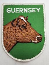 Guernsey patch cow for sale  Lonsdale