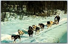 Sled dog race for sale  Mountain Home