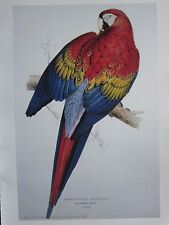 Vintage bird print for sale  YORK