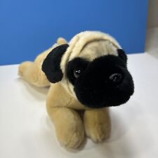 black pug fawn pugs for sale  Ripon