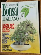 Bonsai italiano giugno usato  Verzuolo