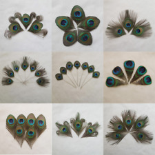 10pcs lot peacock for sale  Shipping to Ireland