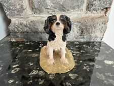 King charles cavalier for sale  BRISTOL